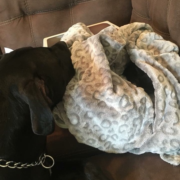 Hello! - Picture 3 of 5